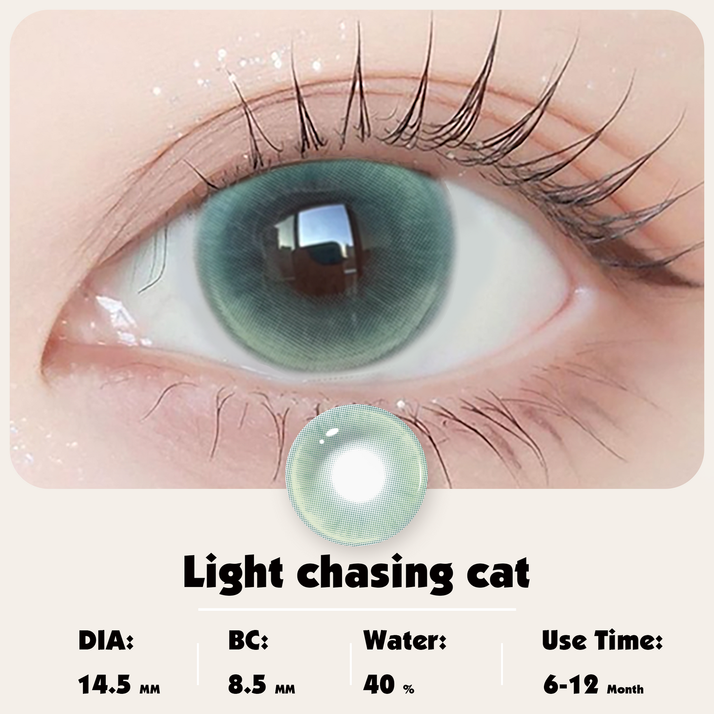 Light chasing cat DIA:14.5 GDIA:13.9