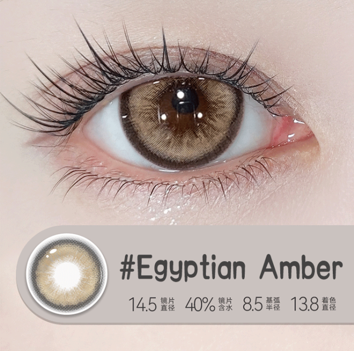 （One-day）Egyptian Amber DIA:14.5 GDIA:13.8