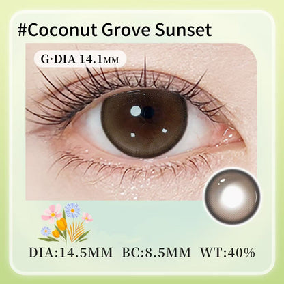Coconut Grove Sunset  DIA:14.5 GDIA:14.1
