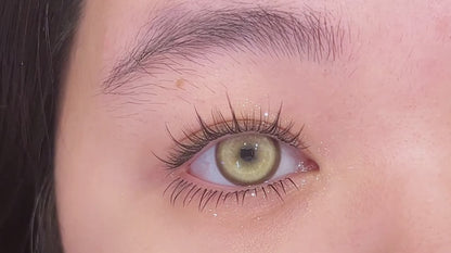 Legend of Koi Fish DIA:14.5 GDIA:13.9